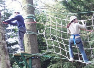 Aventura en las copas de los árboles en Pontault Combautl 